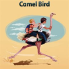 Camel_Bird
