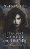 A_court_for_thieves