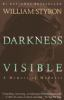 Darkness_visible