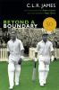 Beyond_a_boundary