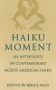 Haiku_moment