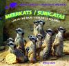 Meerkats__