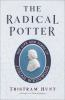 The_radical_potter
