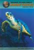 Top_50_reasons_to_care_about_marine_turtles