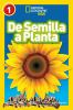 De_semilla_a_planta