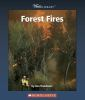Forest_fires