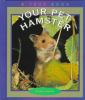 Your_pet_hamster