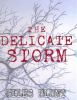 The_delicate_storm