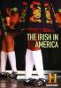 The_Irish_in_America