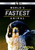 World_s_fastest_animal