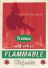 Sons_and_other_flammable_objects