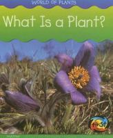 What_is_a_plant_