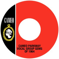 Cameo_Parkway_Vocal_Group_Gems_Of_1964