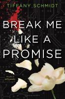 Break_me_like_a_promise