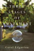 Three_stages_of_amazement