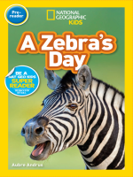 A_Zebra_s_Day