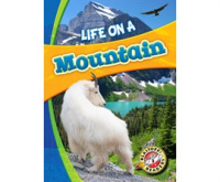 Life_on_a_mountain
