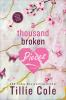A_Thousand_Broken_Pieces