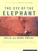 The_Eye_of_the_Elephant