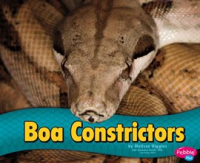 Boa_constrictors