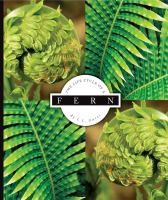 The_life_cycle_of_a_fern